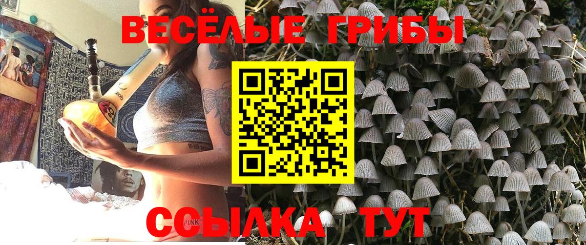 Псилоцибиновые грибы Magic Shrooms  Галлюциногенные грибы Cubensis  Вход с VPN  Жуковский 